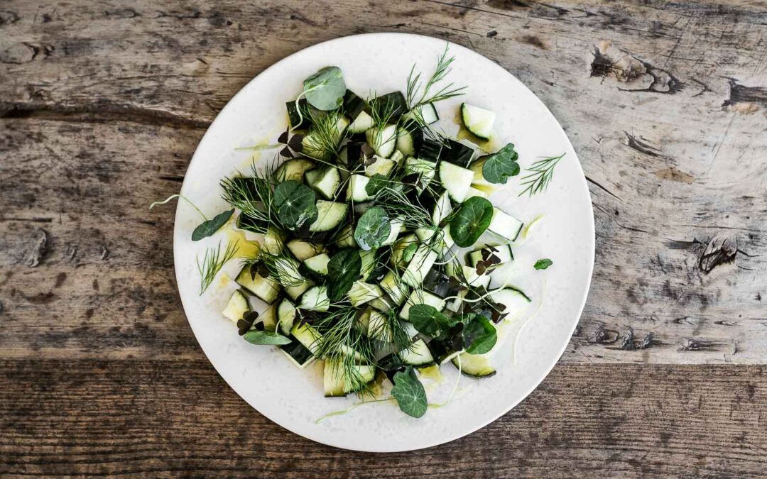 AGURKER, SYLT OG SALAT