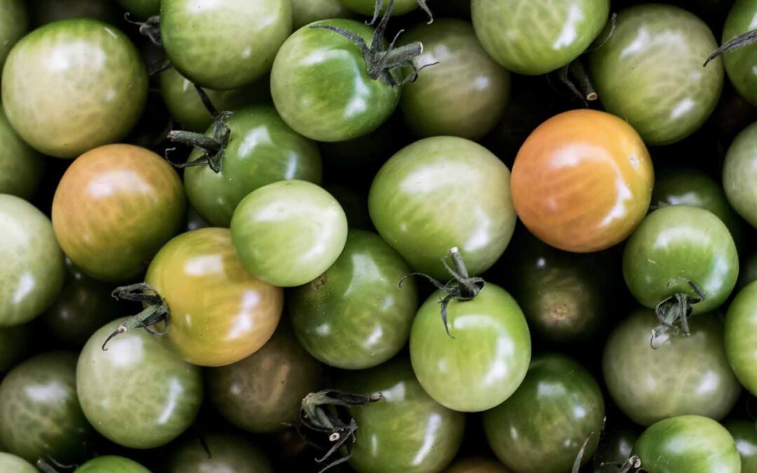 Grøn tomatmarmelade