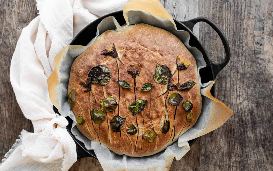URTEBRØD MED HYLDEBLOMST- TIMIANSMØR