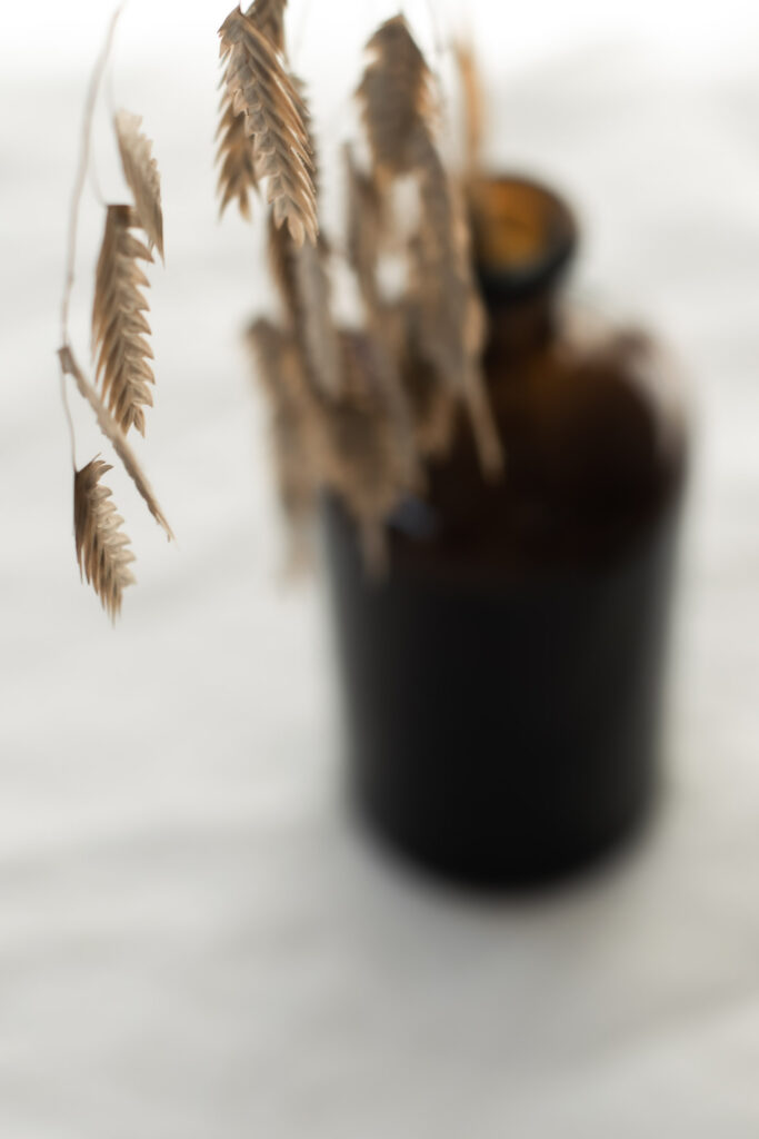 Kyllingeburger med karamelliserede løg og citrusmayo